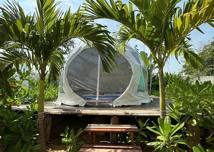 lều Tp-homes